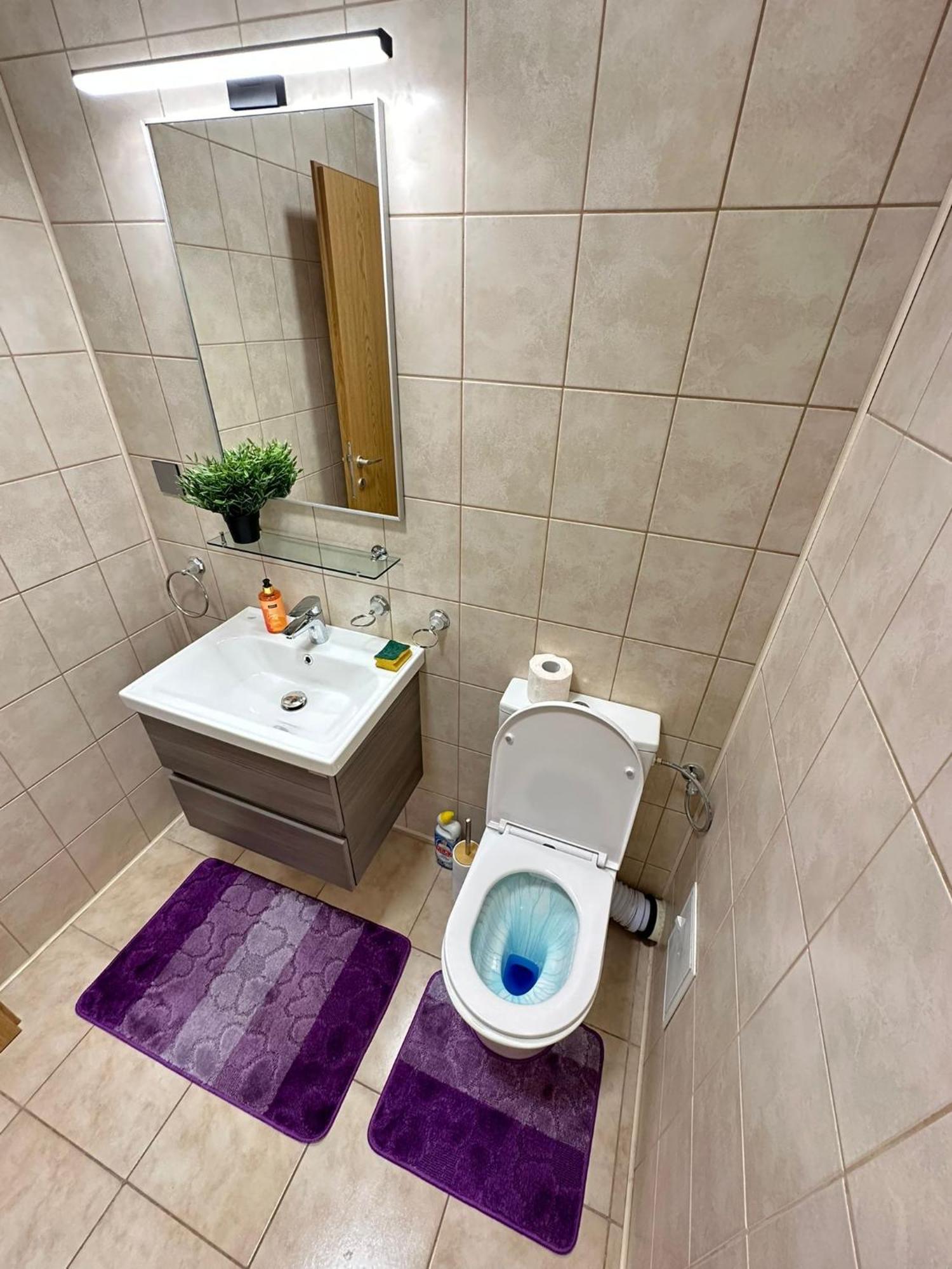 Centru Unirii Luxury Vip Palmier Apartament 2 Camere Cu Terasa Exterioara Amenajata ! Parcare Subterana Privata Climatizata Si Supravegheata Video Dar Doar Cu Rezervare In Limita Locurilor Disponibile !Proprietate In Regim Hoteliep - Nu Are Bucatarie Bucureşti Eksteriør bilde